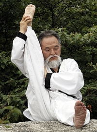 ‘K-요가’, 세계에 퍼지는 신선 수련법 ‘혈기도(穴氣道)’