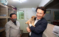 [강원자치도]유기동물 안락사 제로화 달성‘ 안락사 프리존’ 선언