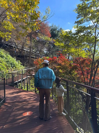 ‘김나영♥’ 마이큐, 아들과 단풍 구경…훈훈한 부자 일상