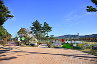 속초시, 숲속 가족놀이 체험장 개장 ‘초읽기’