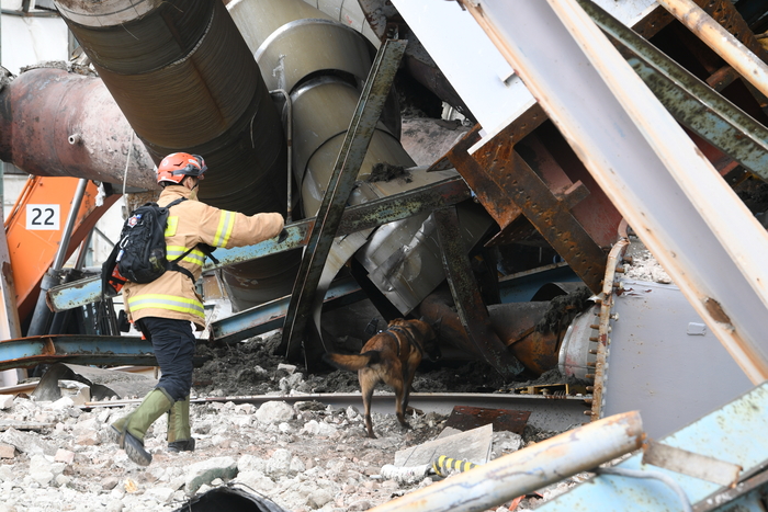 12일 오전, 울산화력발전소 붕괴 사고 현장에서 119구조견과 핸들러가 위치가 확인되지 않은 매몰자를 찾기 위해 수색활동을 하고 있다. 사진|소방청