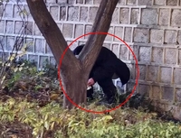 경복궁 돌담에 中관광객 ‘대변 테러’…믿기 힘든 민폐에 충격