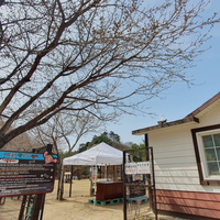 원주시, 반려견 쉼터 ‘아름들’ 동절기 휴장