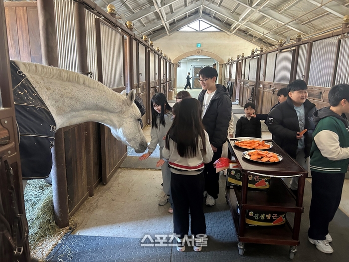 경기도체육회 ‘마주(馬走)하는 승마교실’ 성료