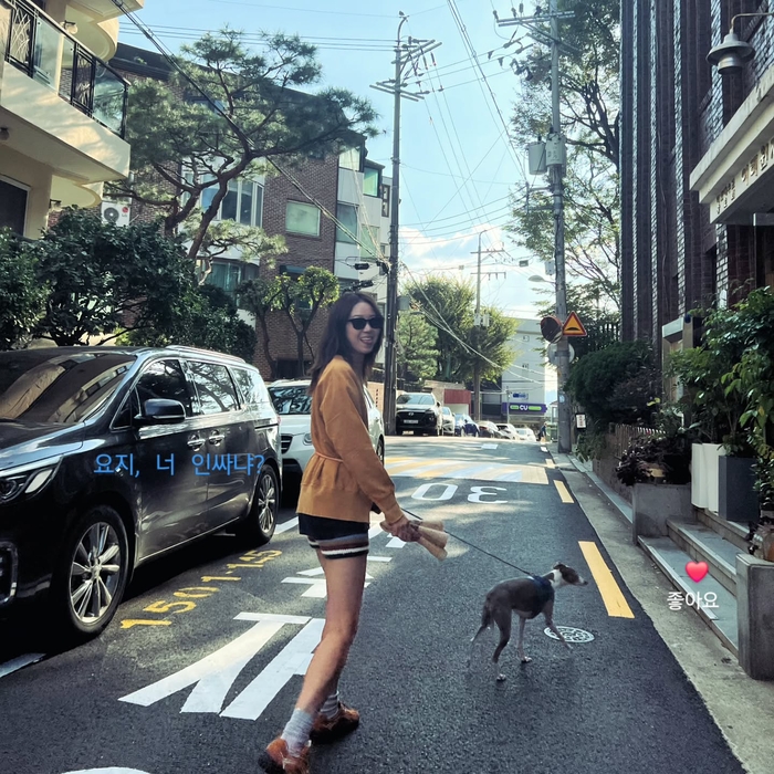 “요지, 너 인싸냐?”... 공효진, 반려견과의 좌충우돌 산책기 공개!