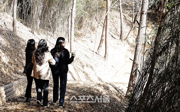 함평군, 기산봉 힐링 숲길 조성…사계절 명소 재탄생