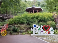 코레일관광개발, ‘만 원의 행복’ 경북산림투어패스 시범운영 시작