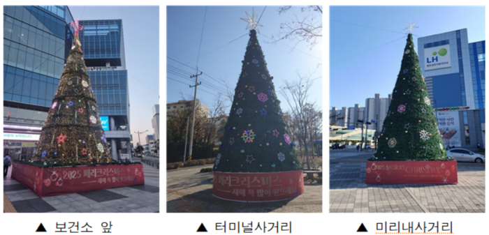 원주시, 성탄절 주요 도로 3곳에 성탄 트리 설치
