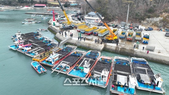 K-김(GIM)의 본고장 완도, 햇김 채취 한창