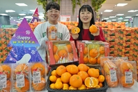 롯데마트, 내일부터 ‘충주 레드탄금향’ 선보여