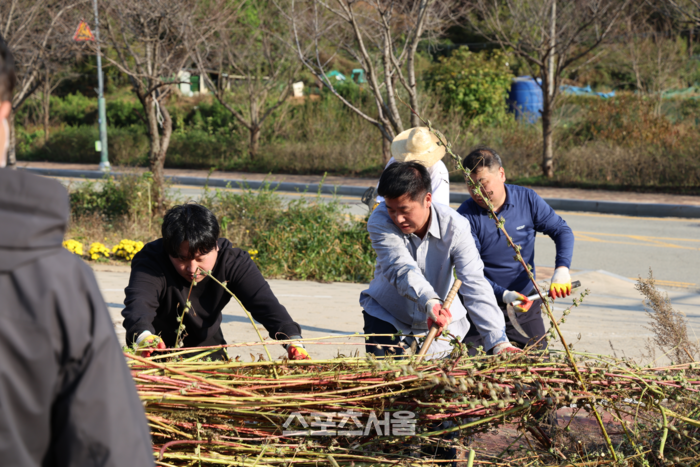 용인도시공사, 케나프 수확 비료 제작...지역 농가에 연말 기부