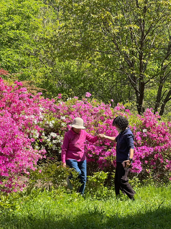 특별상 작품. 사진|횡성군청