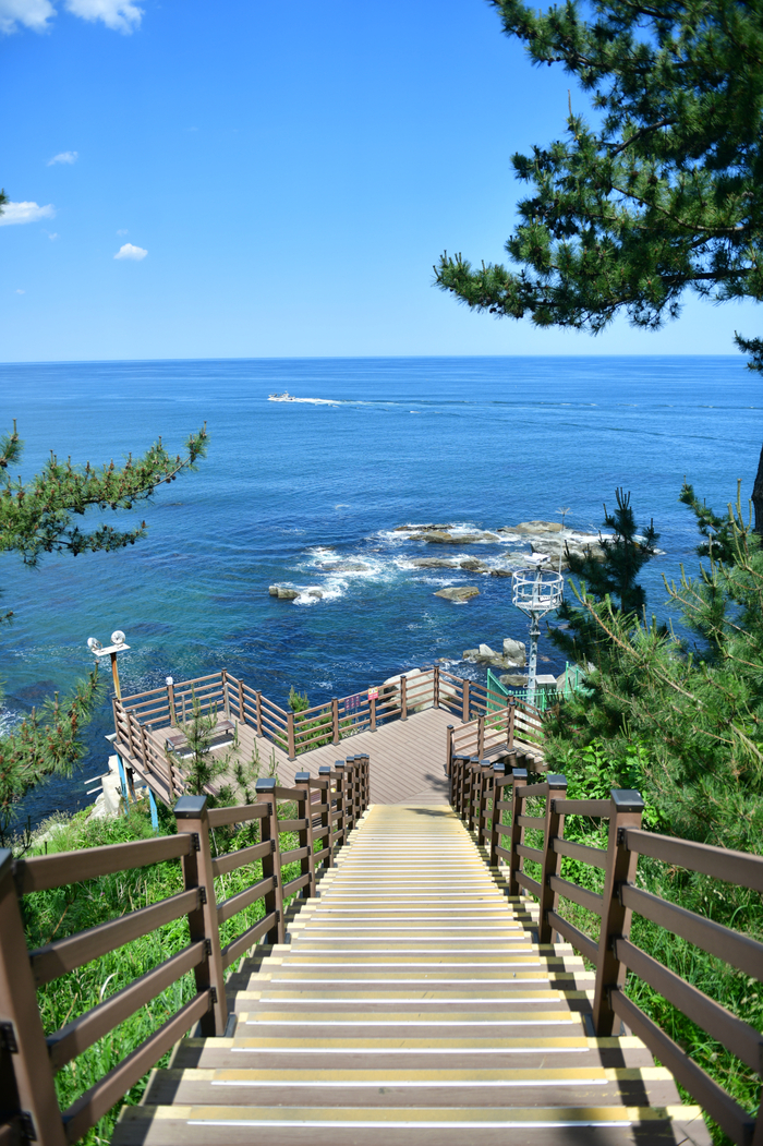 바다향기로 전경. 사진|속초시청