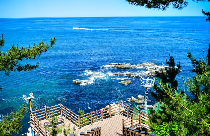 바다향기로 전경. 사진|속초시청