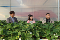 전춘성 진안군수, 샤인머스캣 등 재배 농가 방문...현장 중심의 소통 행정 펼쳐