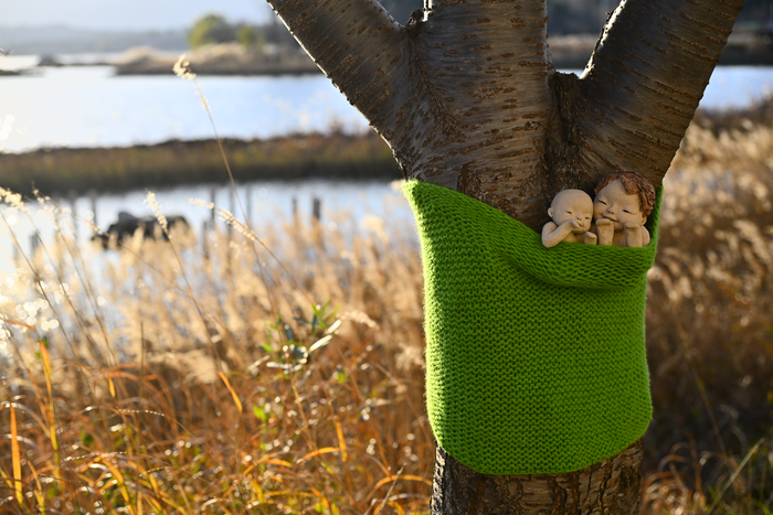 속초시 영랑호 산책로 가로수, 시민이 만든 뜨개옷으로 겨울 준비