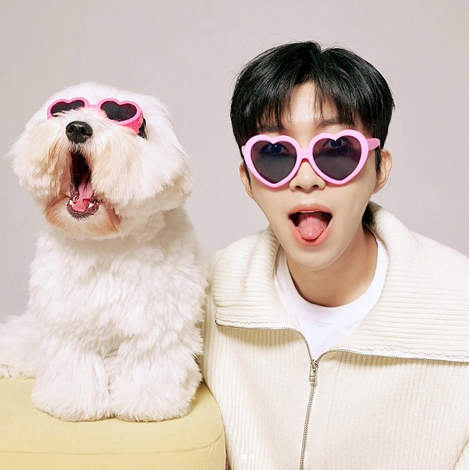 임영웅 반려견 ‘시월’ 생일…캘리포니아 팬들의 특별한 나눔