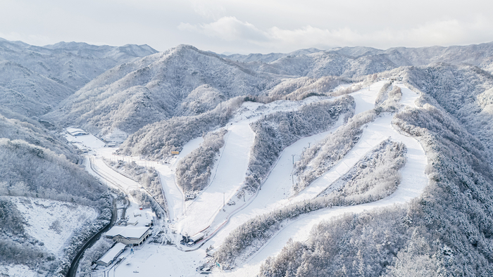 사진 | 엘리시안 강촌 리조트
