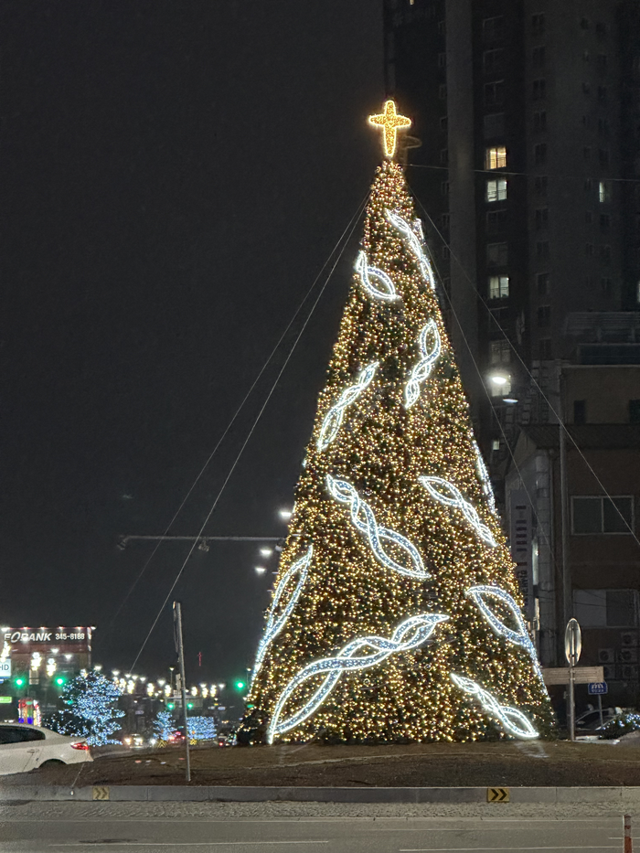 연말연시 경관조명. 사진|횡성군청