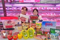 롯데마트 장난감 최대 30%할인…연말 ‘통큰세일’