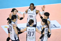 [포토] 환호하는 도로공사 선수들