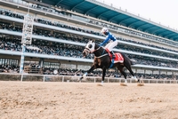 10년·27년·34년만 부활한 기록…3세마 신기록까지 쓴 클린원, 제43회 그랑프리(G1) 제패