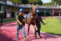 겨울 트랙 위 뜨거운 승부…‘제12회 MBN배’ 우승마는