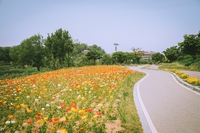 오산시, 오산천 따라 쉬어가는 공간 확대