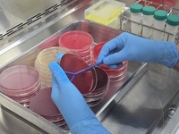 전남동물위생시험소, 고품질 원유 생산 관리체계 강화