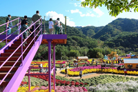 인제군, 가을철 관광객 증가율 도내 1위