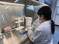 전남보환연, 생활하수서 인플루엔자 지속 검출