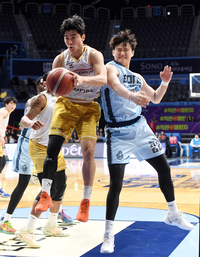 [포토]정관장 박지훈의 리바운드