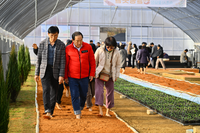 속초시, 꽃묘장 맨발걷기길 개장