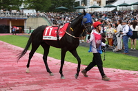 단 1분의 속도전…렛츠런파크 서울, 1200m 1등급 스프린트 결전