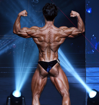 WNGP 파이널 클래식 보디빌딩 프로전 김종경, 암벽 등반해도 될 등! [포토]