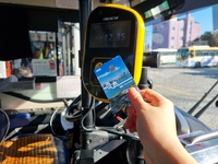 속초시 무료 교통카드, 2025년 한 해 이용 50만 회 넘어서