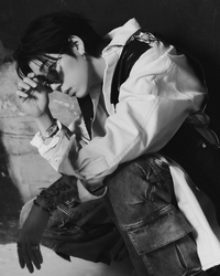 아티스트 지코, 스펙트럼 무한 확장