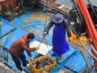 전남도, 수산자원 직불금 17일 여수서 설명회 개최