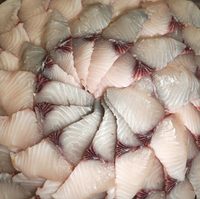 겨울바다의 황제 ‘고흥 삼치’, 은빛 칼날 위의 풍미