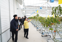 육동한 춘천시장, 동절기 대비 시설원예·축산 농가 방문