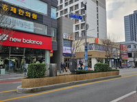 속초시, 동절기 수목 보호 위한 월동관리사업 추진