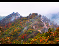 인제군, 2025 제8회 미시령 힐링가도 전국사진공모전 시상식 개최