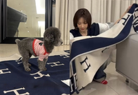 ‘70억 자가’ 고준희, 강아지 패드로 250만원 담요 흔쾌히…“수건이라고 생각”