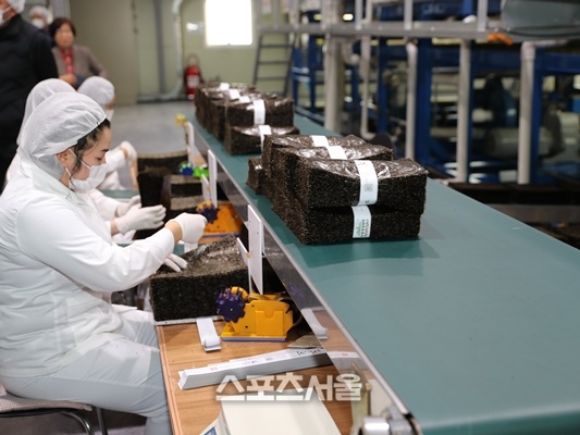 조미김 미국 상호관세 면제…전남 김 수출 확대 청신호