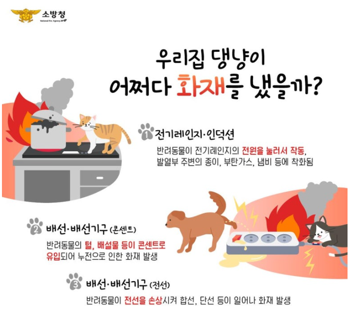 [강원소방]강릉, 반려동물 인덕션 화재예방 홍보