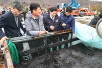 고흥군, 2026년산 김 작황 부진 속 현장 방문