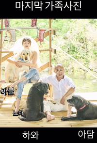 최여진, 결혼 후 맞은 비보.. 10일 간격으로 떠난 애완견 ‘하와·아담’에 오열