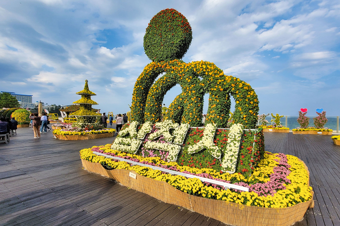 제10회 삼척 국화 전시회 성료