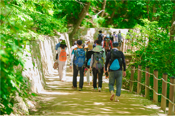 ‘운탄고도1330 테마 트레일 페스티벌’ 모습. 사진|강원관광재단