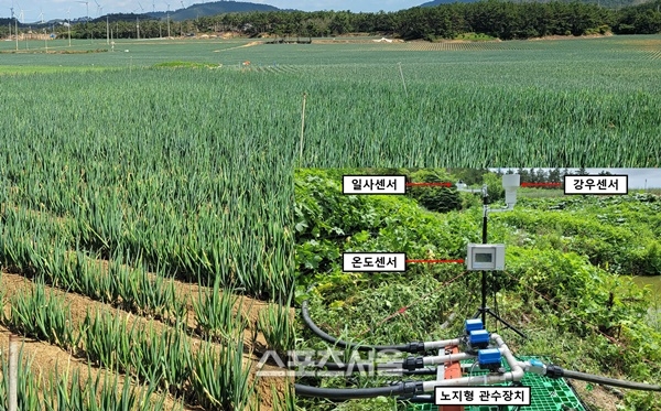 전남농기원, 특허기술 민간 이전으로 상용화 가속